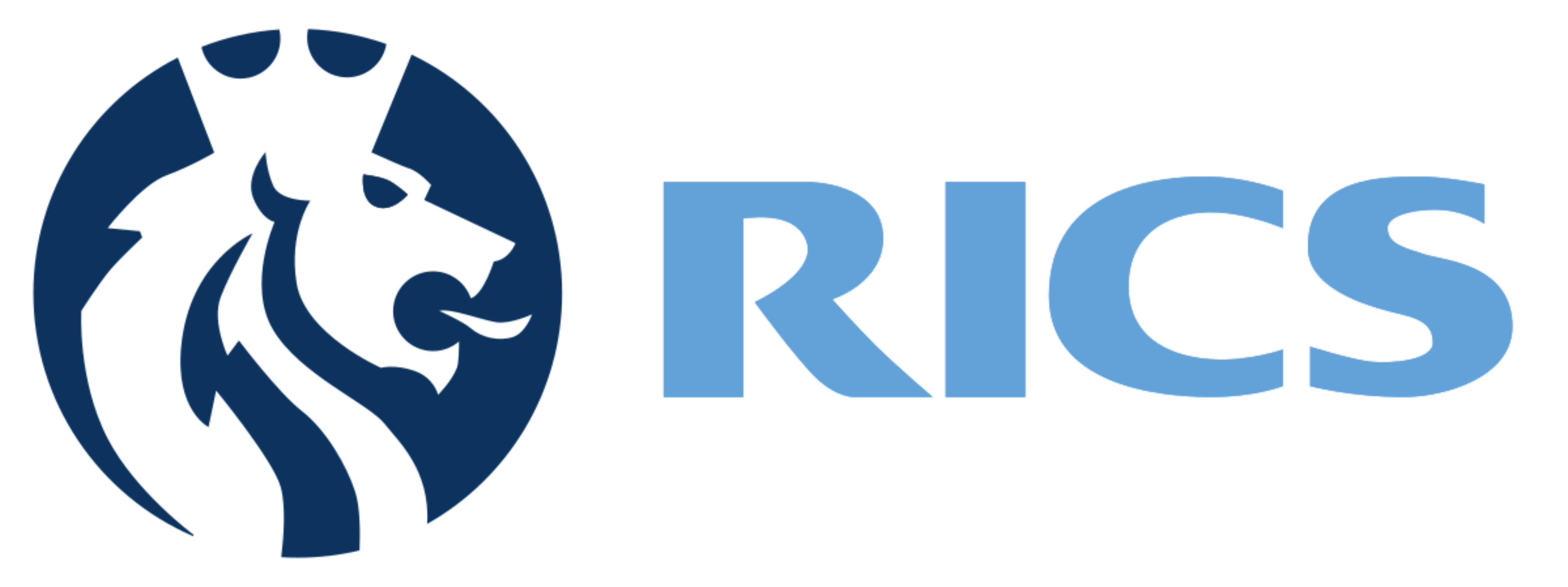 Logo RICS